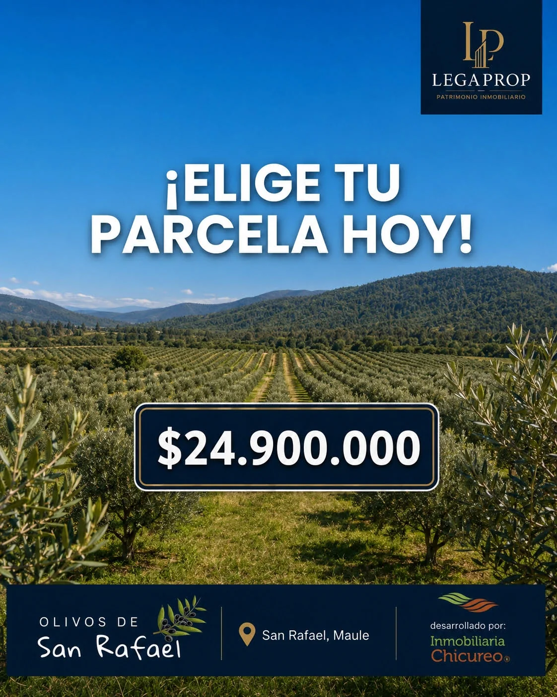 Olivos de San Rafael