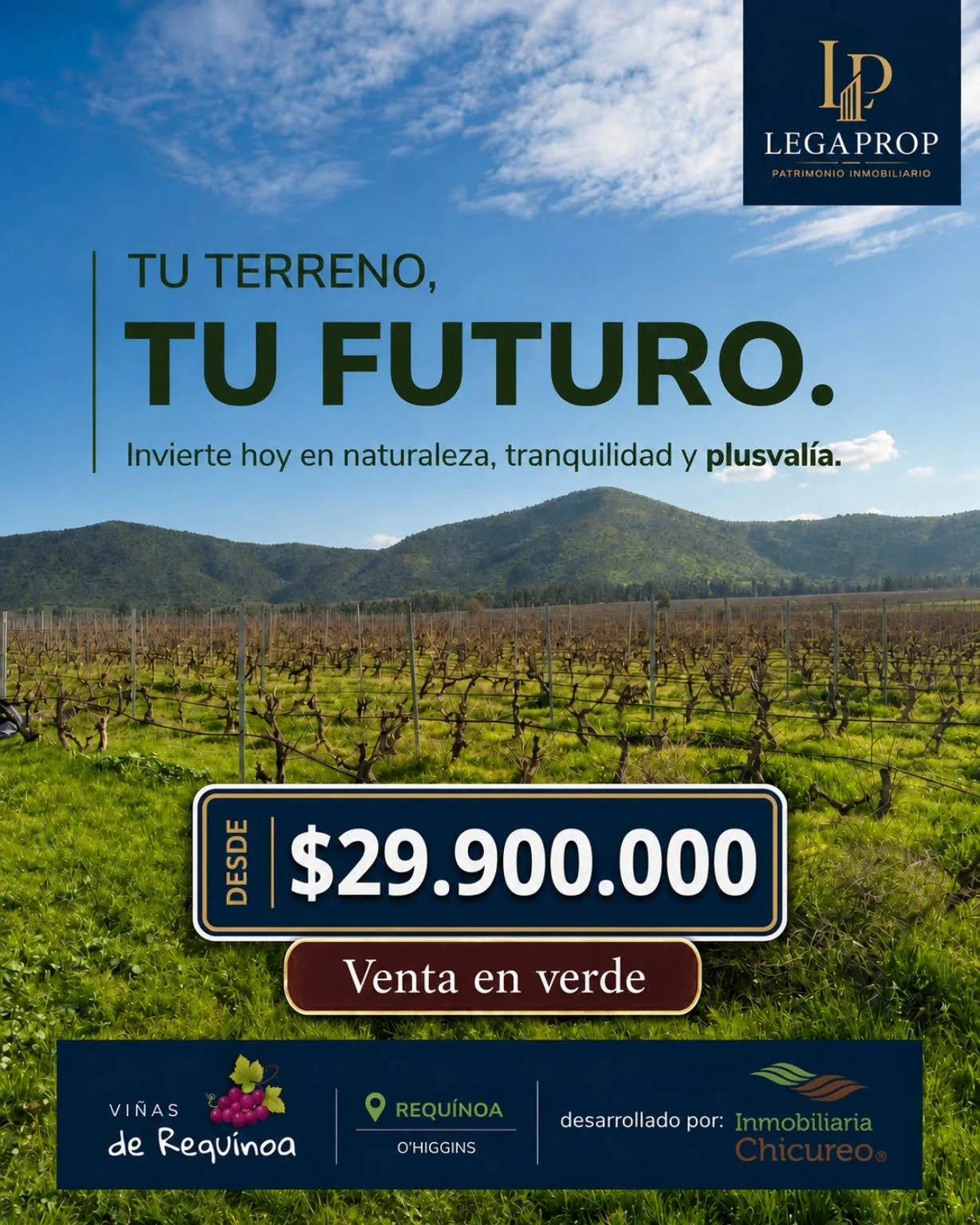 Viñedos de Requínoa